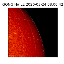 gong - 2026-03-24T08:00:42