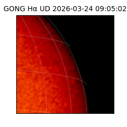 gong - 2026-03-24T09:05:02