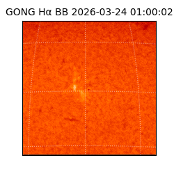 gong - 2026-03-24T01:00:02