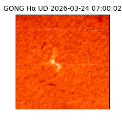 gong - 2026-03-24T07:00:02