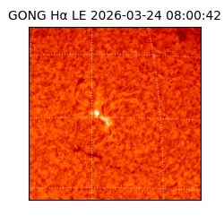 gong - 2026-03-24T08:00:42