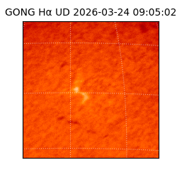 gong - 2026-03-24T09:05:02