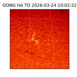 gong - 2026-03-24T10:02:22