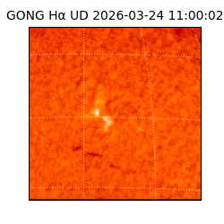 gong - 2026-03-24T11:00:02