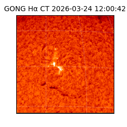 gong - 2026-03-24T12:00:42