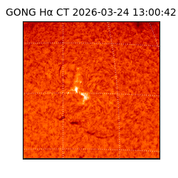 gong - 2026-03-24T13:00:42