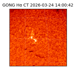 gong - 2026-03-24T14:00:42