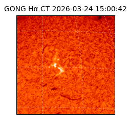 gong - 2026-03-24T15:00:42