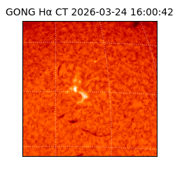 gong - 2026-03-24T16:00:42