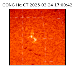 gong - 2026-03-24T17:00:42