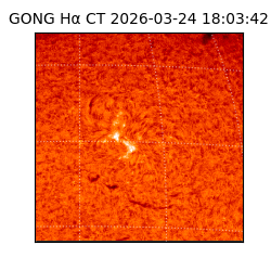 gong - 2026-03-24T18:03:42