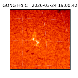 gong - 2026-03-24T19:00:42