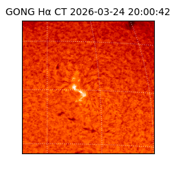 gong - 2026-03-24T20:00:42