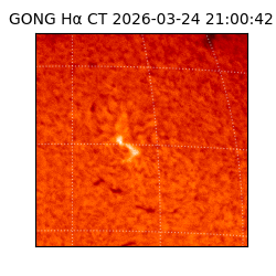 gong - 2026-03-24T21:00:42