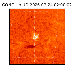 gong - 2026-03-24T02:00:02