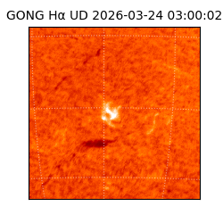 gong - 2026-03-24T03:00:02