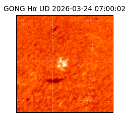 gong - 2026-03-24T07:00:02