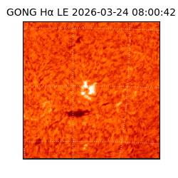 gong - 2026-03-24T08:00:42