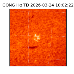 gong - 2026-03-24T10:02:22