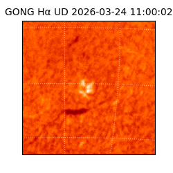 gong - 2026-03-24T11:00:02