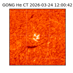 gong - 2026-03-24T12:00:42