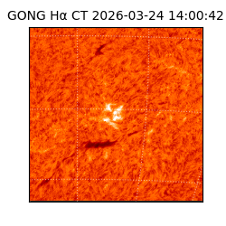 gong - 2026-03-24T14:00:42