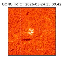 gong - 2026-03-24T15:00:42