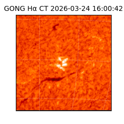 gong - 2026-03-24T16:00:42