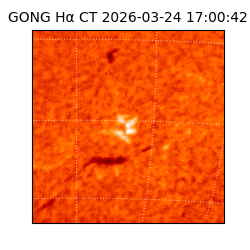 gong - 2026-03-24T17:00:42