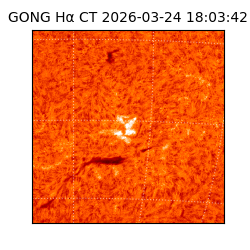 gong - 2026-03-24T18:03:42