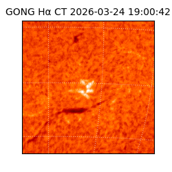 gong - 2026-03-24T19:00:42