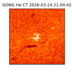 gong - 2026-03-24T21:00:42