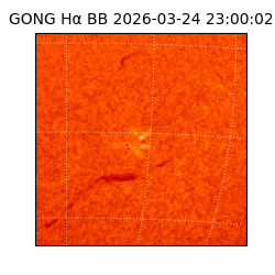 gong - 2026-03-24T23:00:02