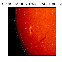 gong - 2026-03-24T01:00:02