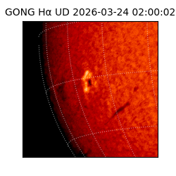 gong - 2026-03-24T02:00:02