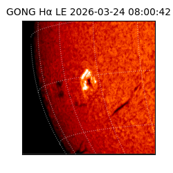 gong - 2026-03-24T08:00:42