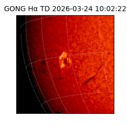 gong - 2026-03-24T10:02:22