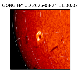 gong - 2026-03-24T11:00:02