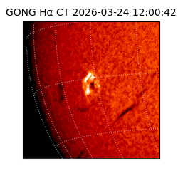 gong - 2026-03-24T12:00:42