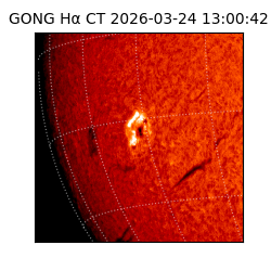 gong - 2026-03-24T13:00:42