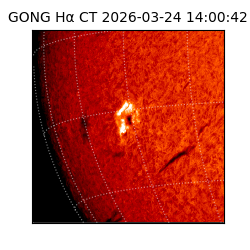 gong - 2026-03-24T14:00:42