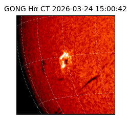 gong - 2026-03-24T15:00:42