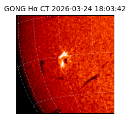 gong - 2026-03-24T18:03:42