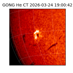 gong - 2026-03-24T19:00:42