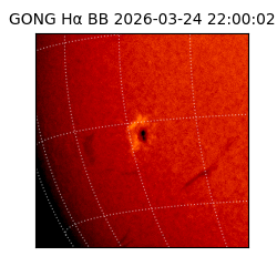 gong - 2026-03-24T22:00:02