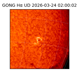 gong - 2026-03-24T02:00:02