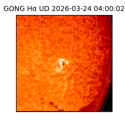 gong - 2026-03-24T04:00:02