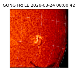 gong - 2026-03-24T08:00:42