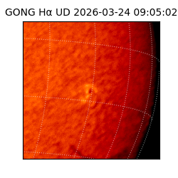 gong - 2026-03-24T09:05:02