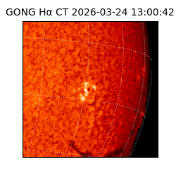 gong - 2026-03-24T13:00:42